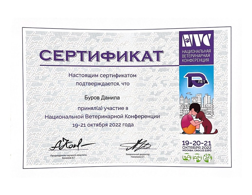 Документ или сертификат