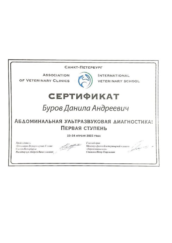 Документ или сертификат
