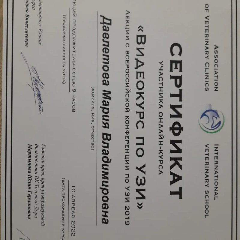 Документ или сертификат