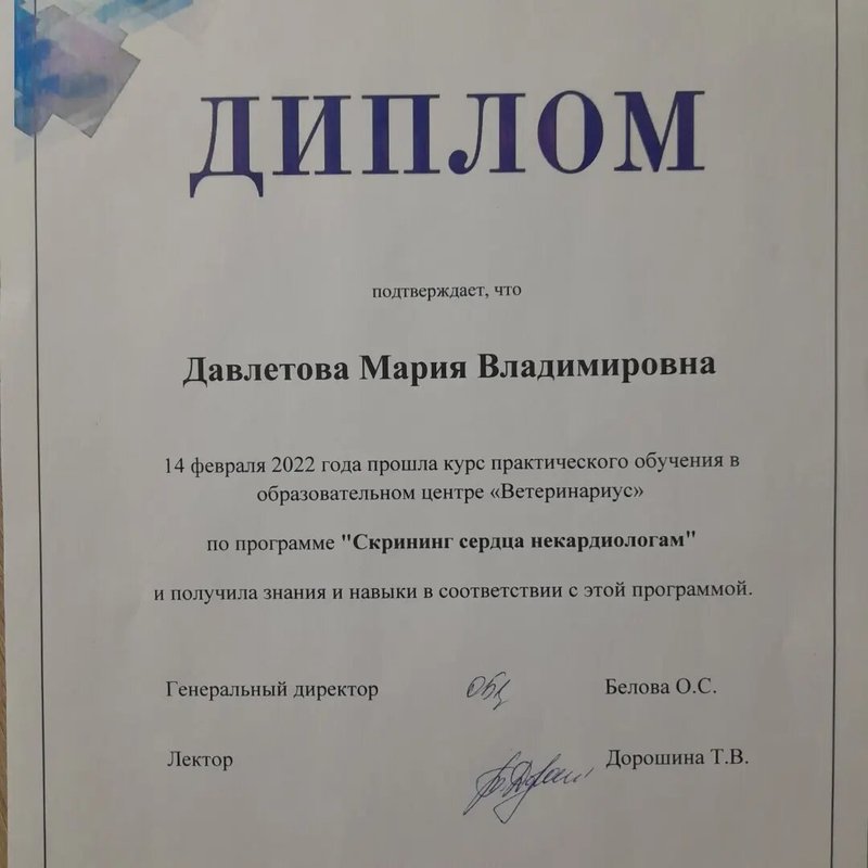 Документ или сертификат