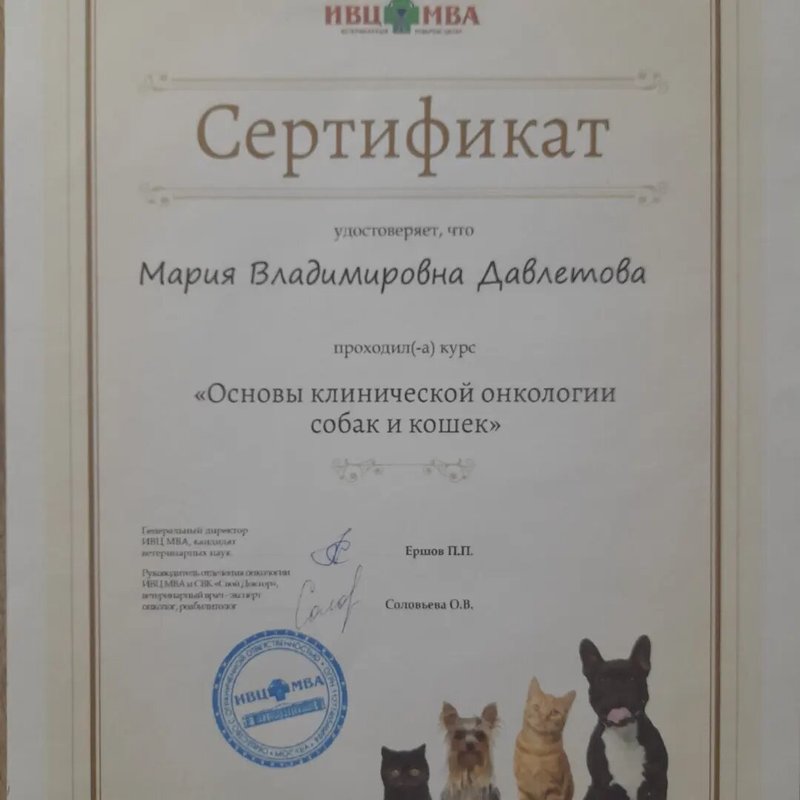 Документ или сертификат