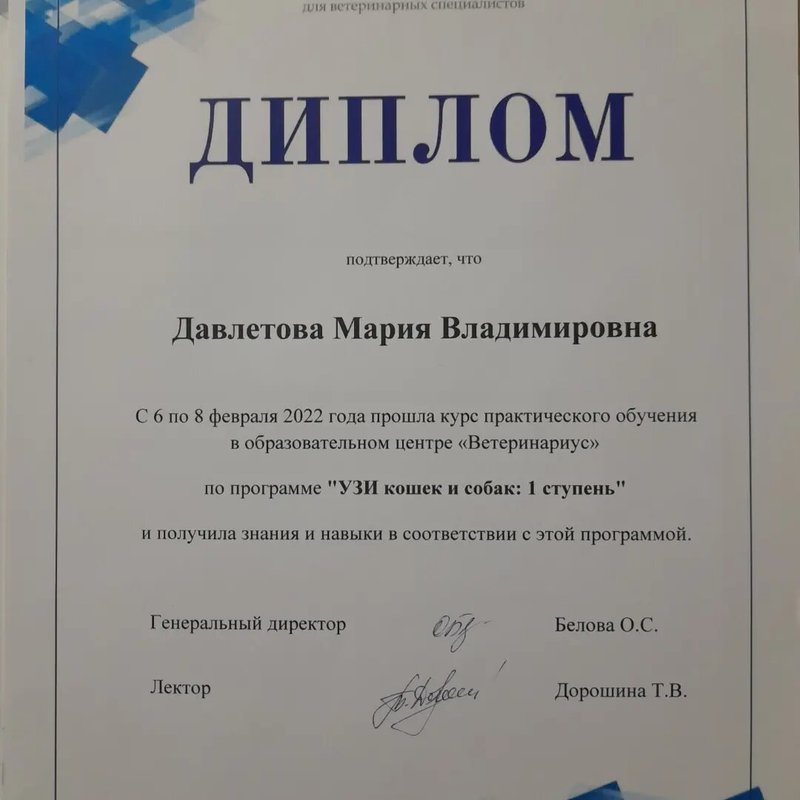 Документ или сертификат