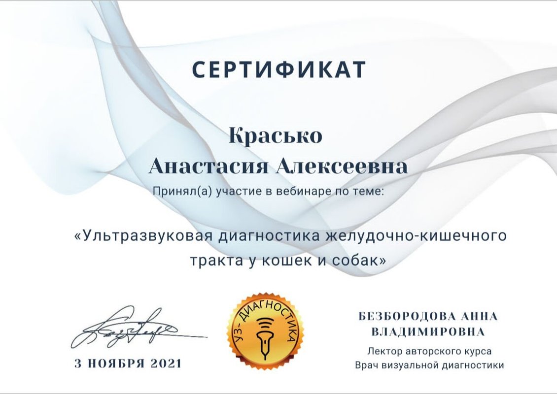 Документ или сертификат