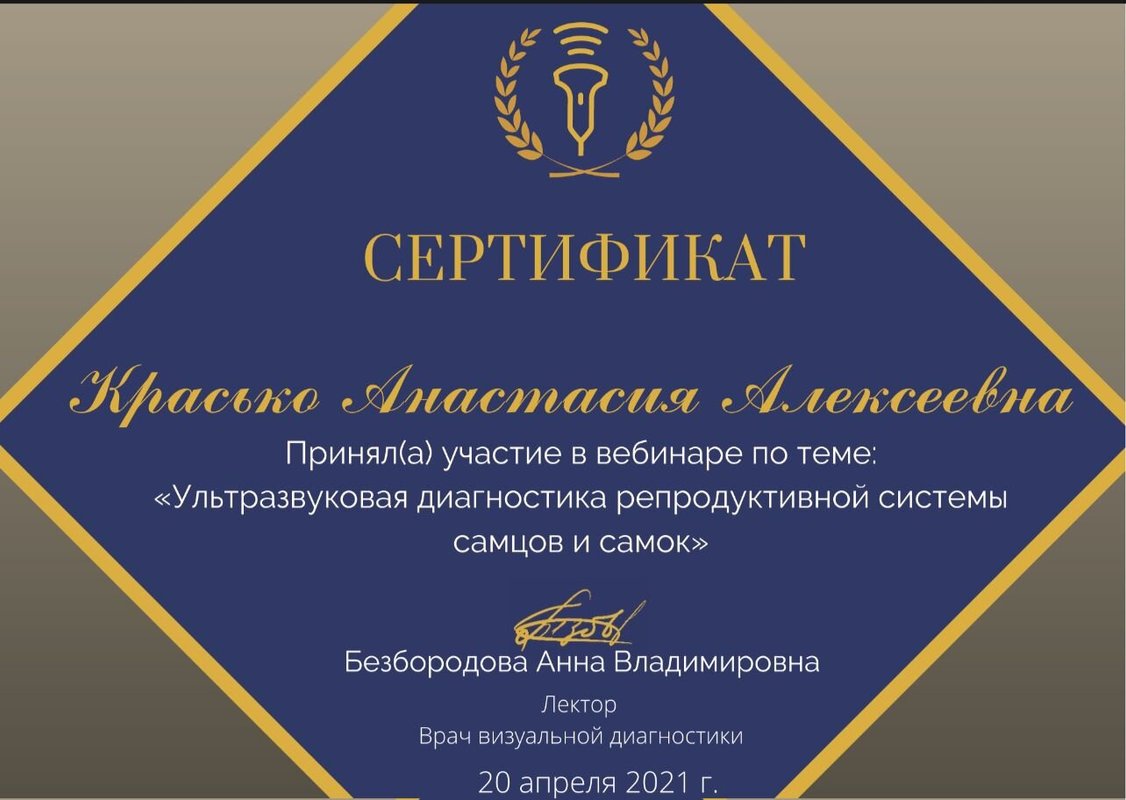 Документ или сертификат