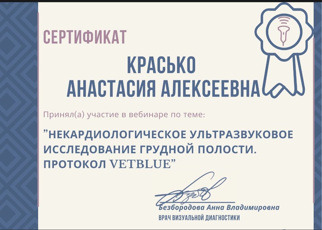 Документ или сертификат