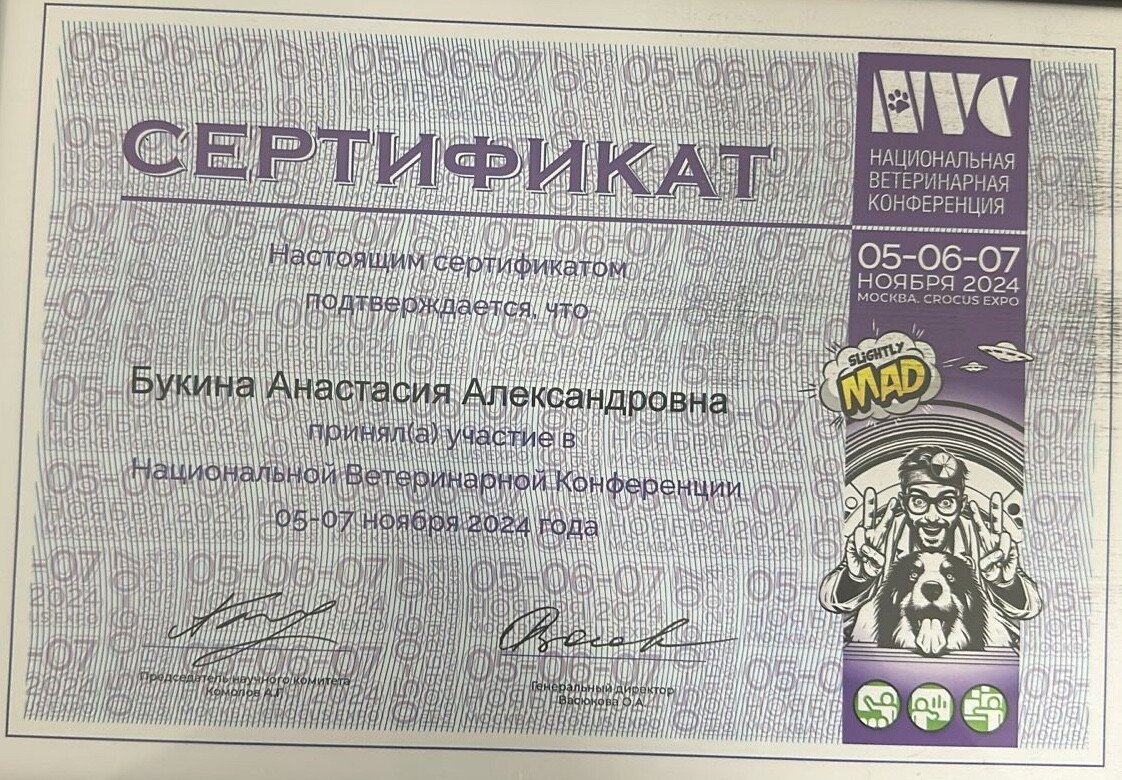 Документ или сертификат