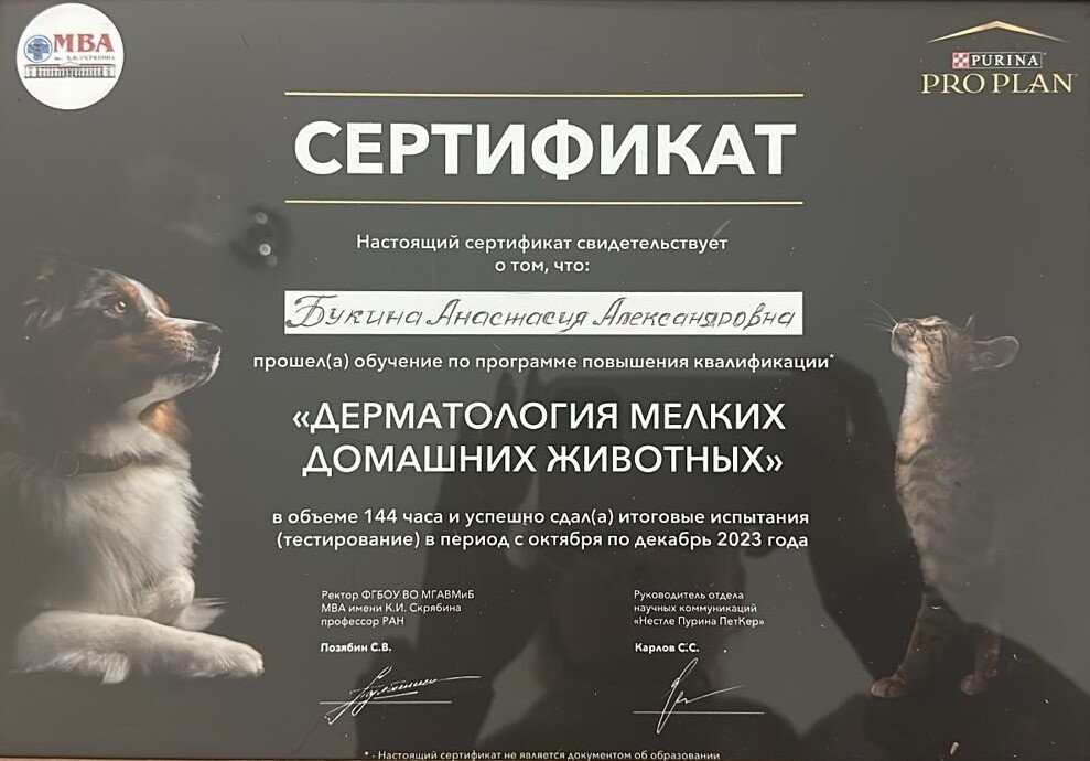 Документ или сертификат