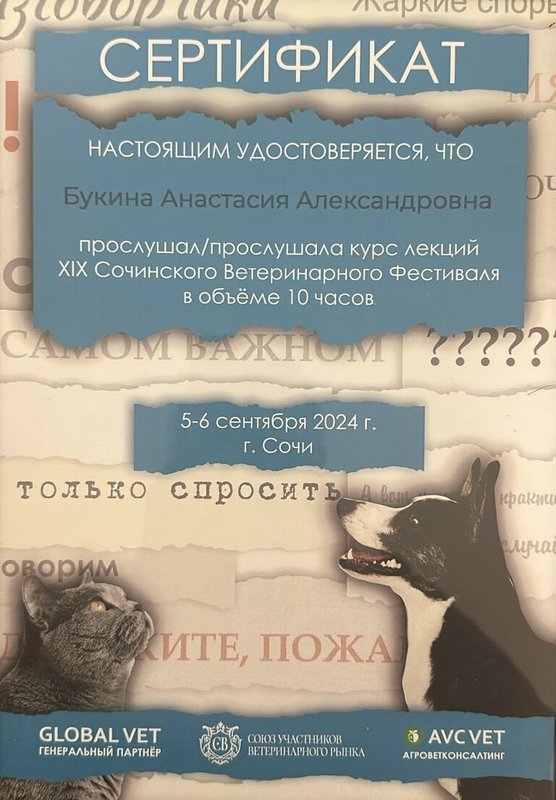 Документ или сертификат