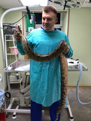 Фото врача Малашин Роман Николаевич