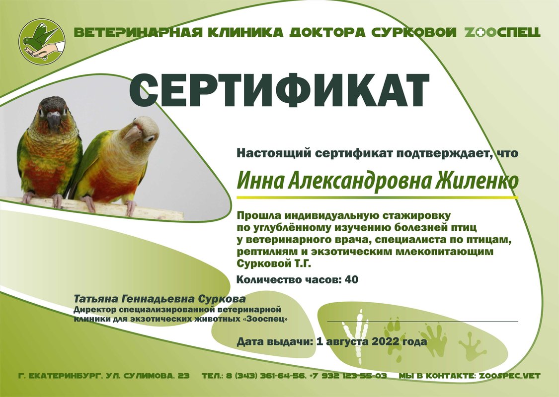 Документ или сертификат