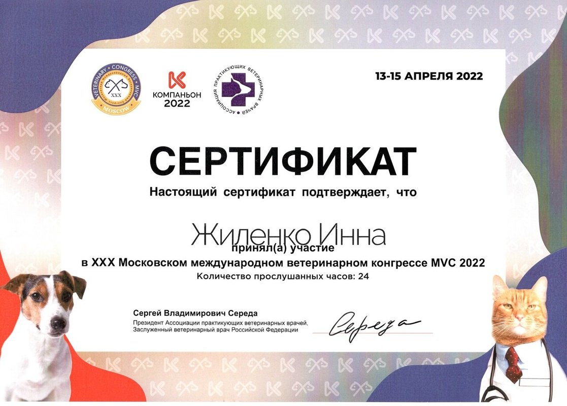 Документ или сертификат
