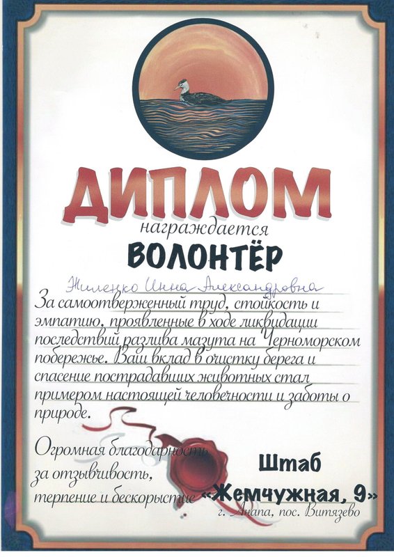 Документ или сертификат