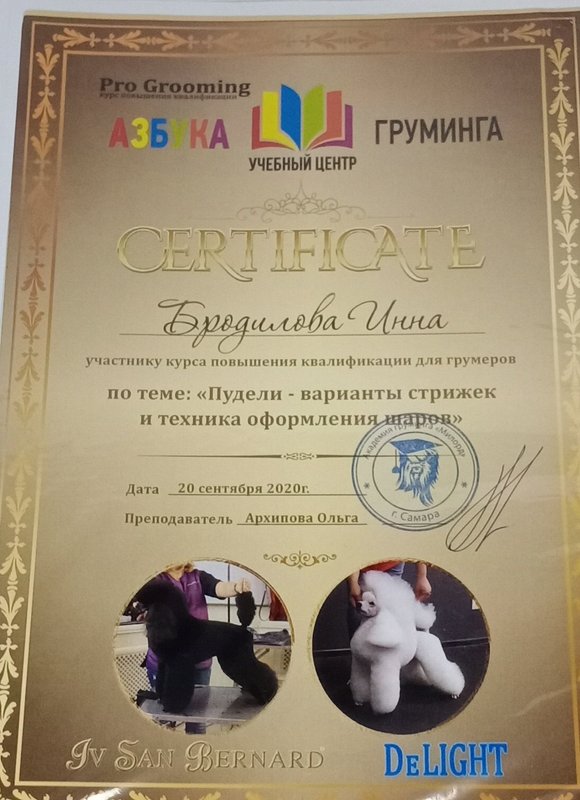Документ или сертификат
