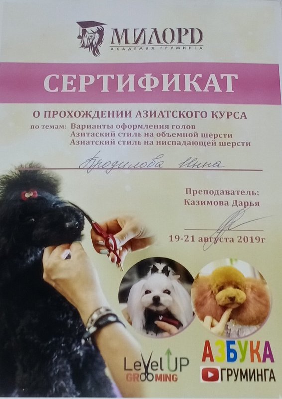 Документ или сертификат