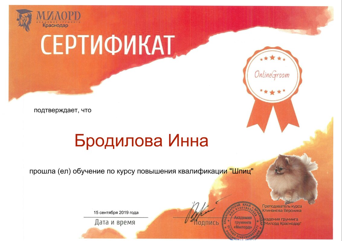Документ или сертификат