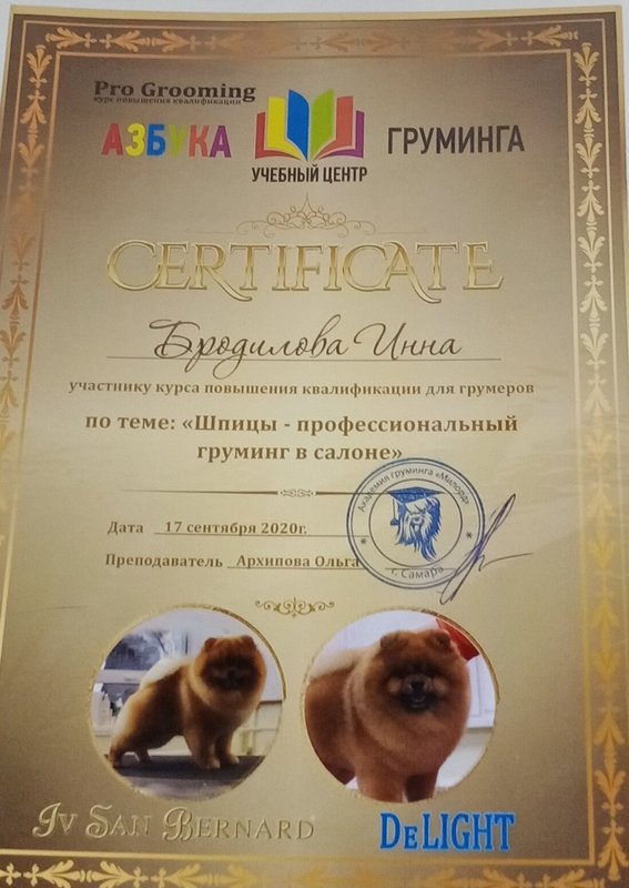 Документ или сертификат