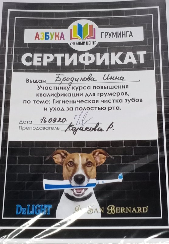 Документ или сертификат