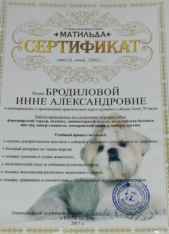 Документ или сертификат