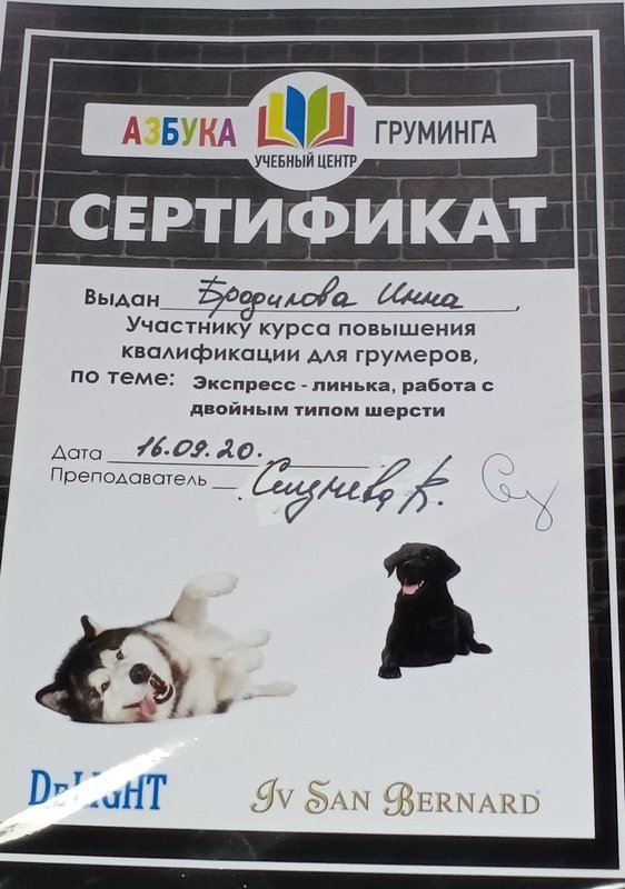 Документ или сертификат