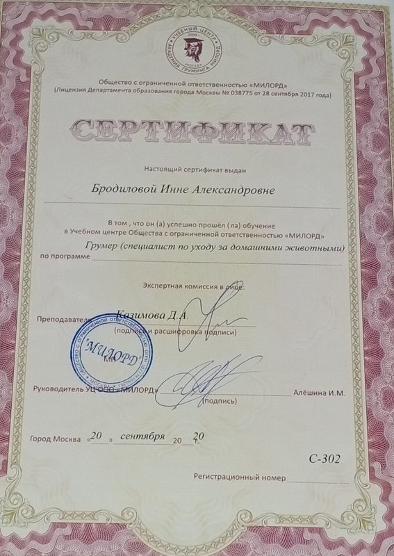 Документ или сертификат