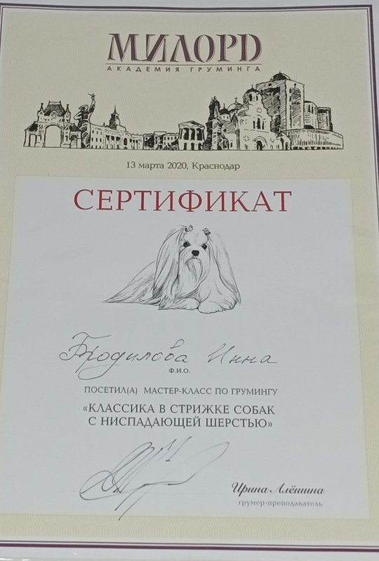 Документ или сертификат