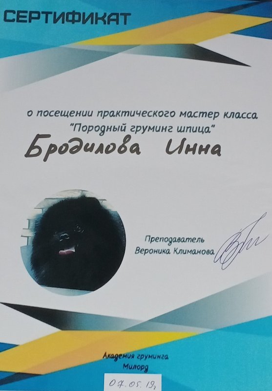 Документ или сертификат