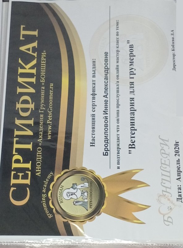 Документ или сертификат