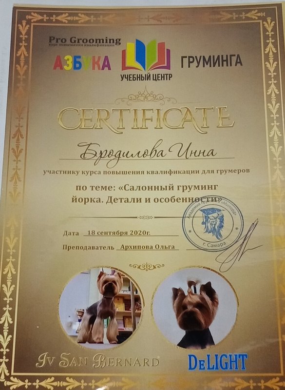 Документ или сертификат