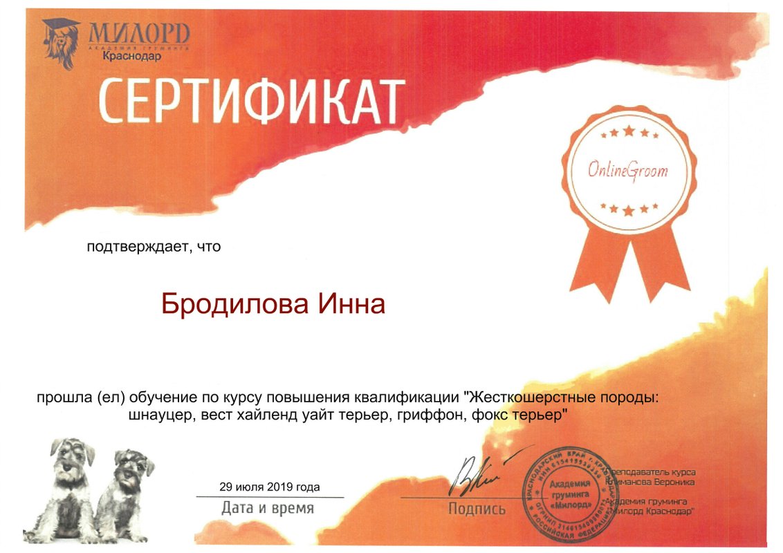 Документ или сертификат