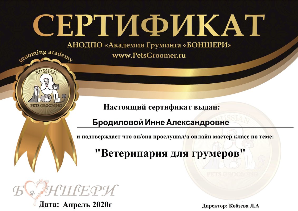 Документ или сертификат