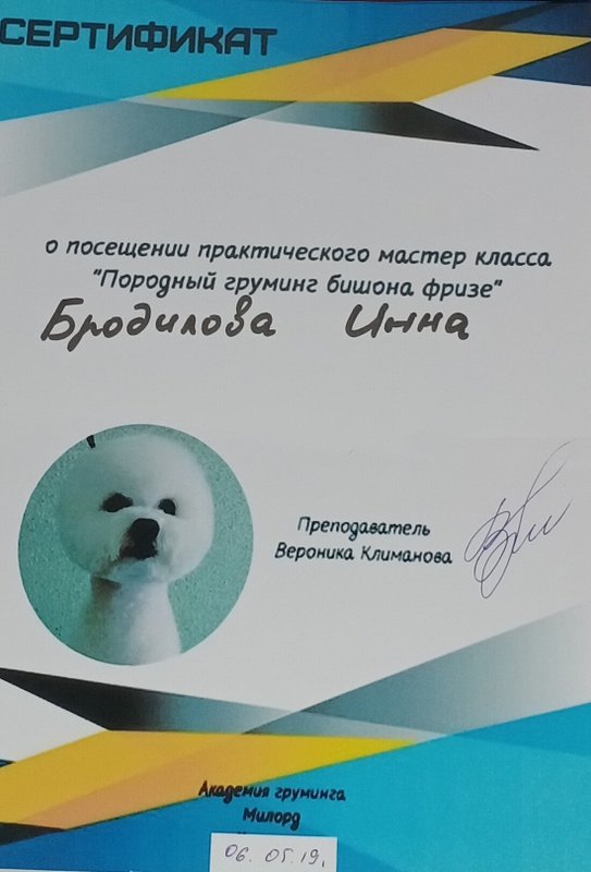 Документ или сертификат