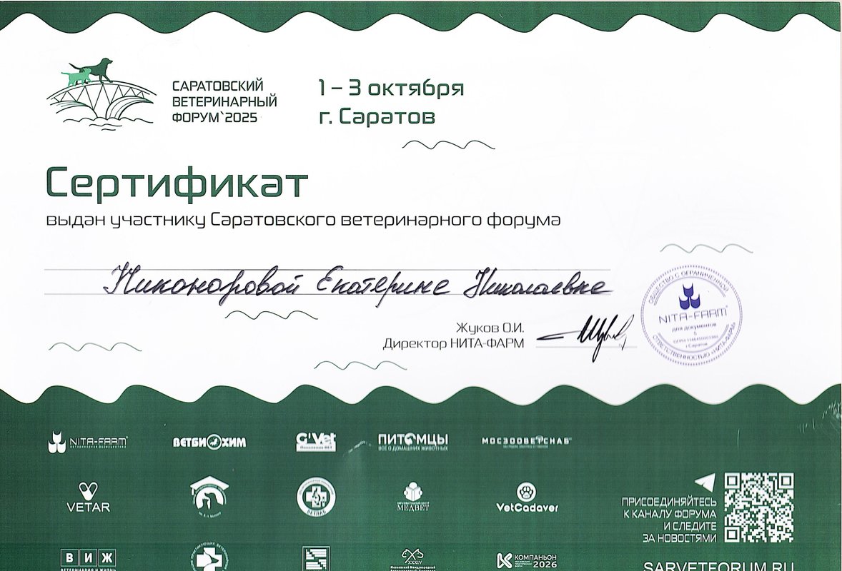 Документ или сертификат