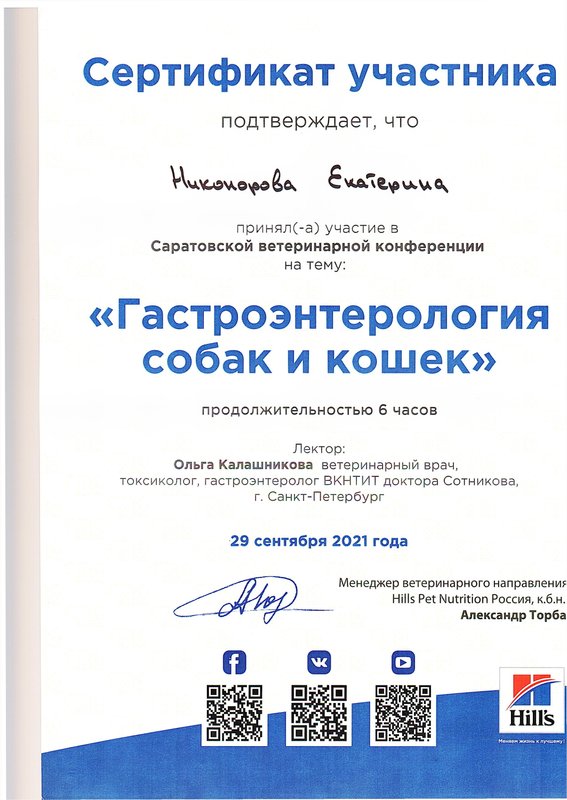 Документ или сертификат