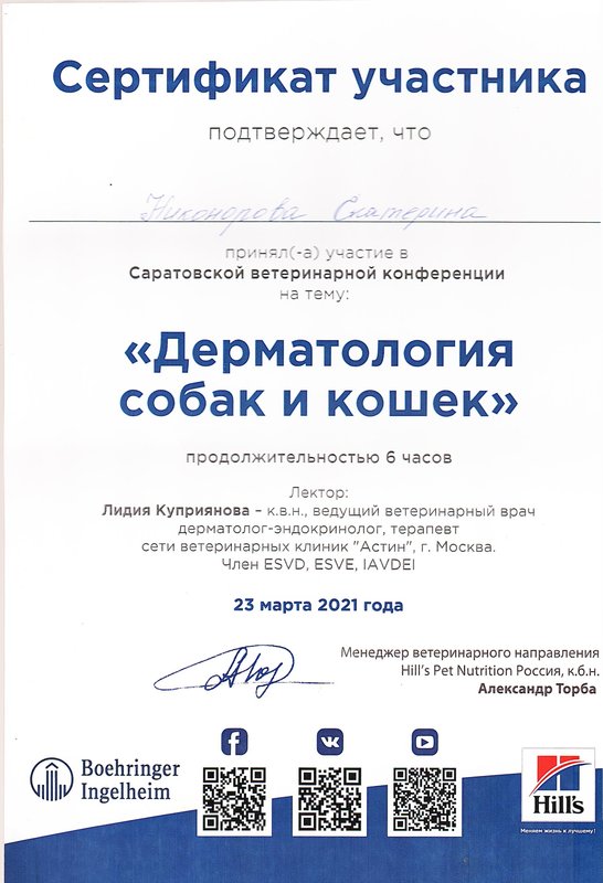 Документ или сертификат