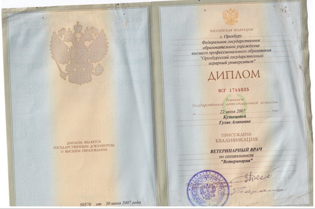 Документ или сертификат