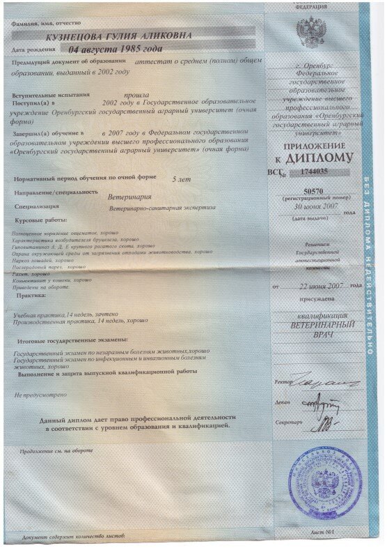 Документ или сертификат