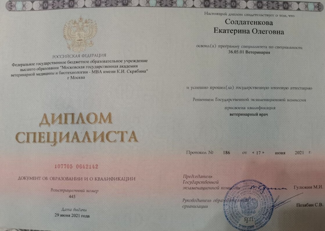 Документ или сертификат