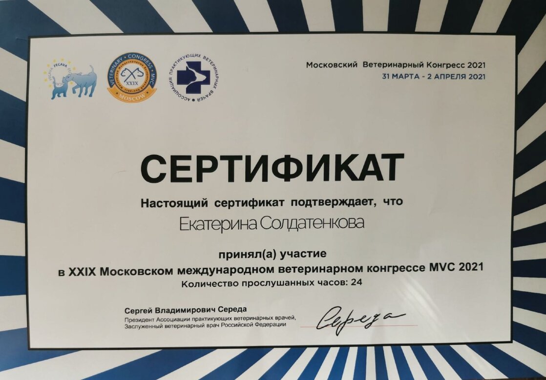 Документ или сертификат