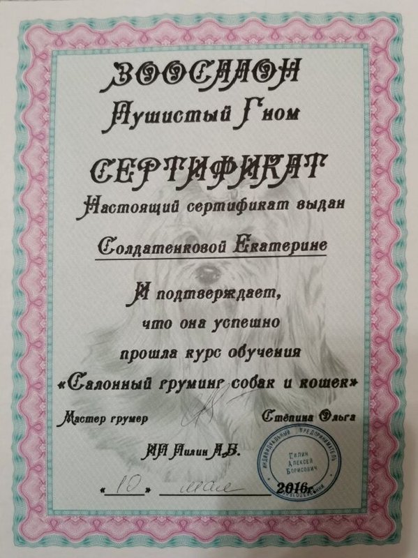 Документ или сертификат