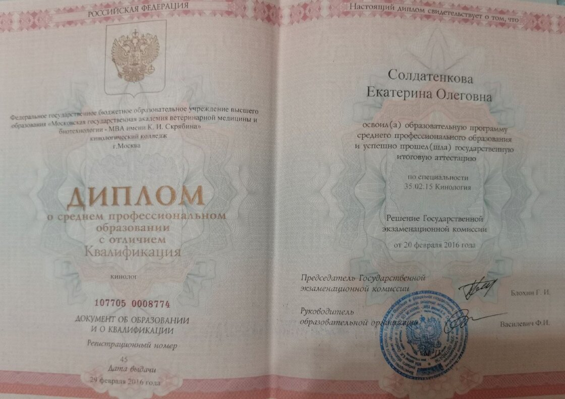Документ или сертификат