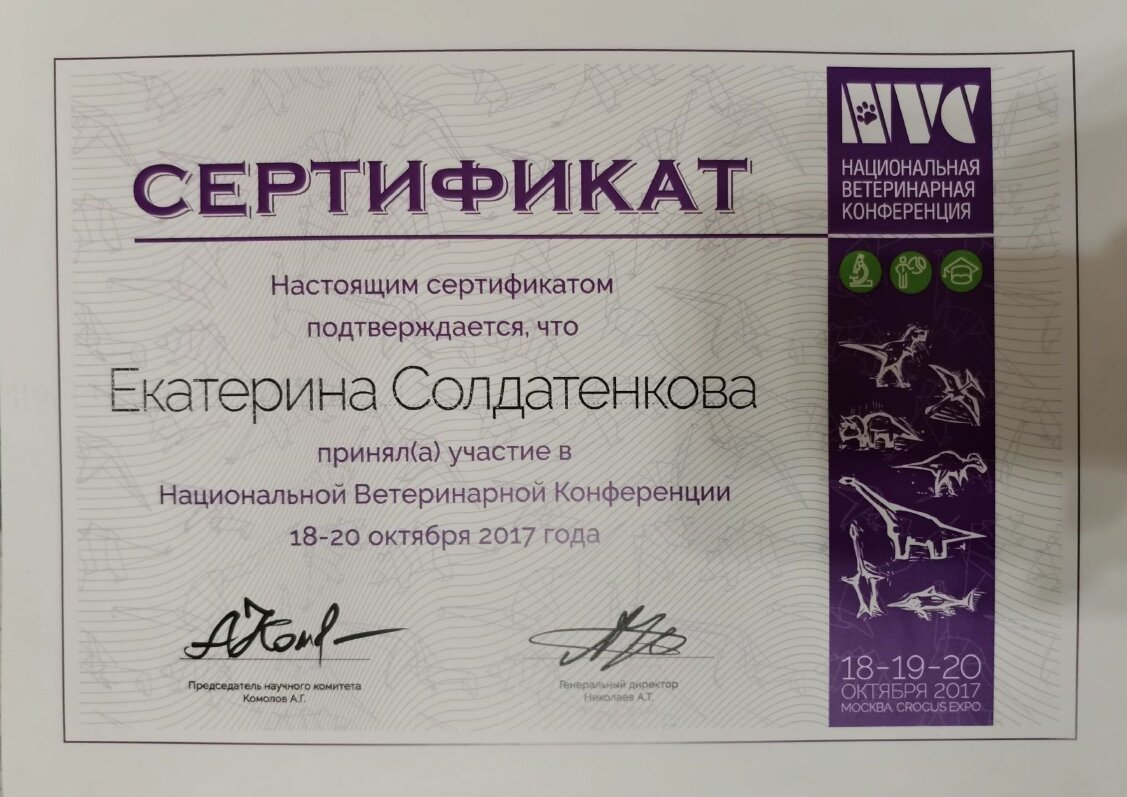Документ или сертификат