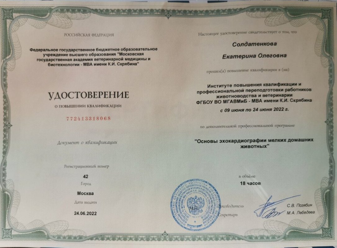 Документ или сертификат