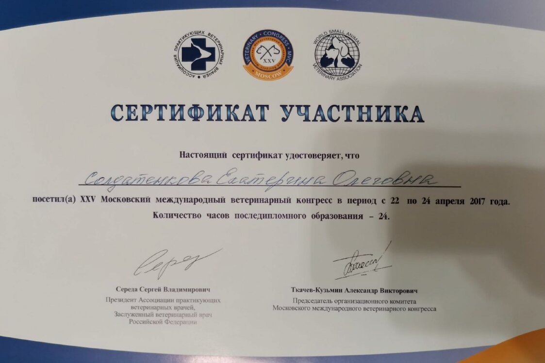 Документ или сертификат