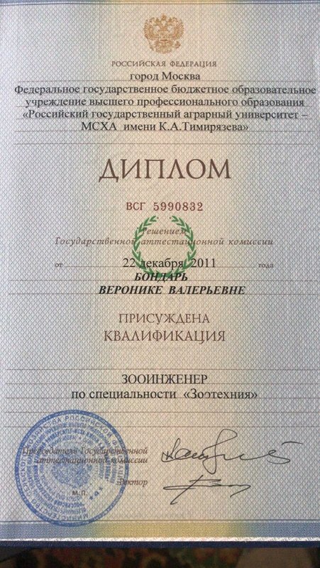 Документ или сертификат