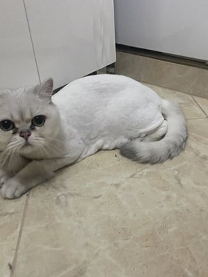 Фото врача Мария Письменюк