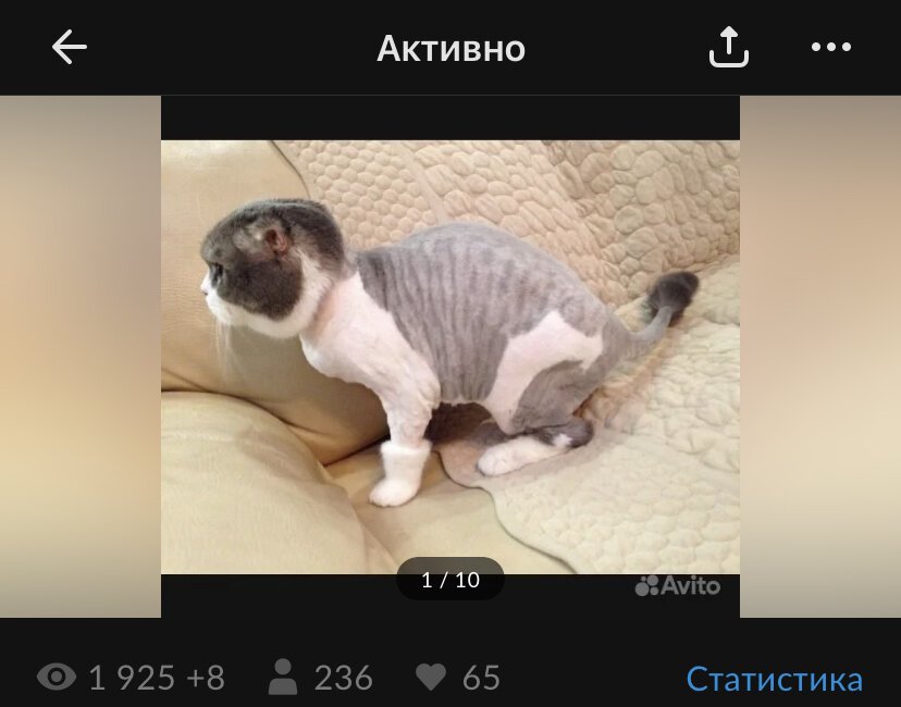 Фото врача