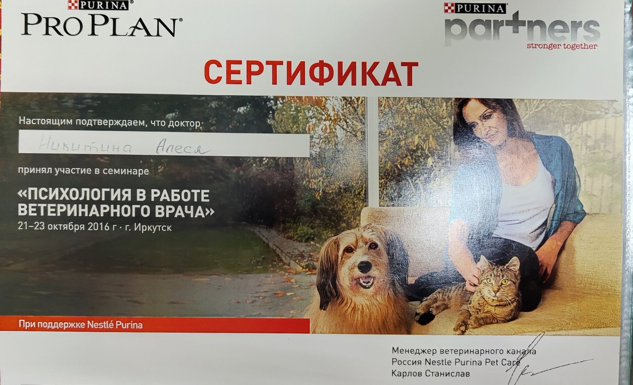 Документ или сертификат