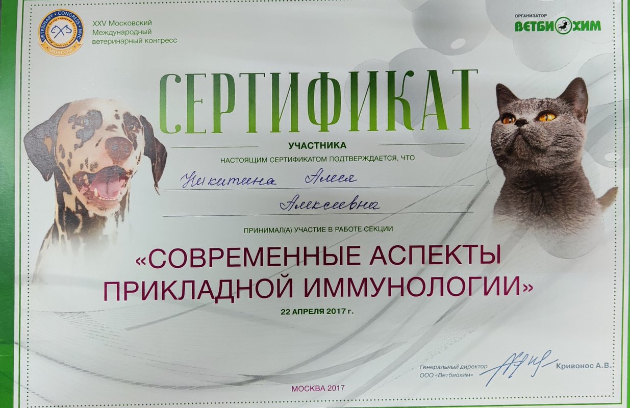 Документ или сертификат