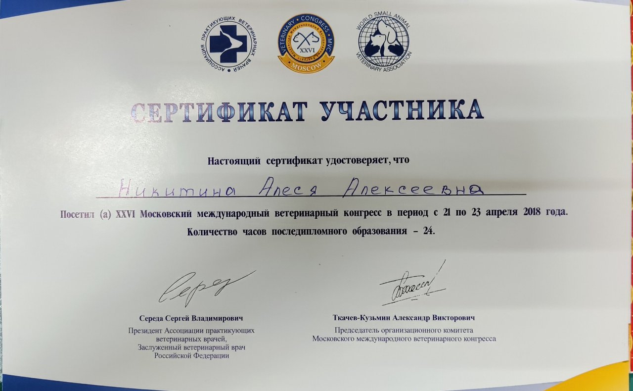 Документ или сертификат