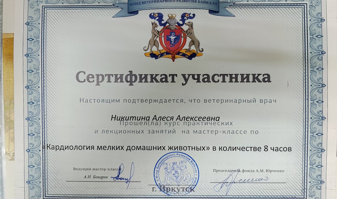 Документ или сертификат